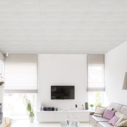 Abyssaly Drop Ceiling Tile, 13.7" x 13.7" 16 Pcs, 3D Wall Panels Foam Peel and Stick Ceiling Tiles Decorative Easy Install PVC Ceiling Panels for Interior Kitchen Bathroom Basement, White